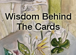 wisdom behind the cards